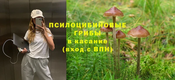 бошки Алзамай
