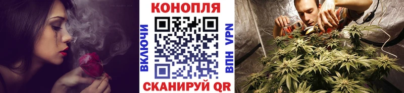 Бошки Шишки MAZAR  Кропоткин 